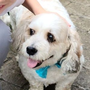 Meet your Posher, Laura